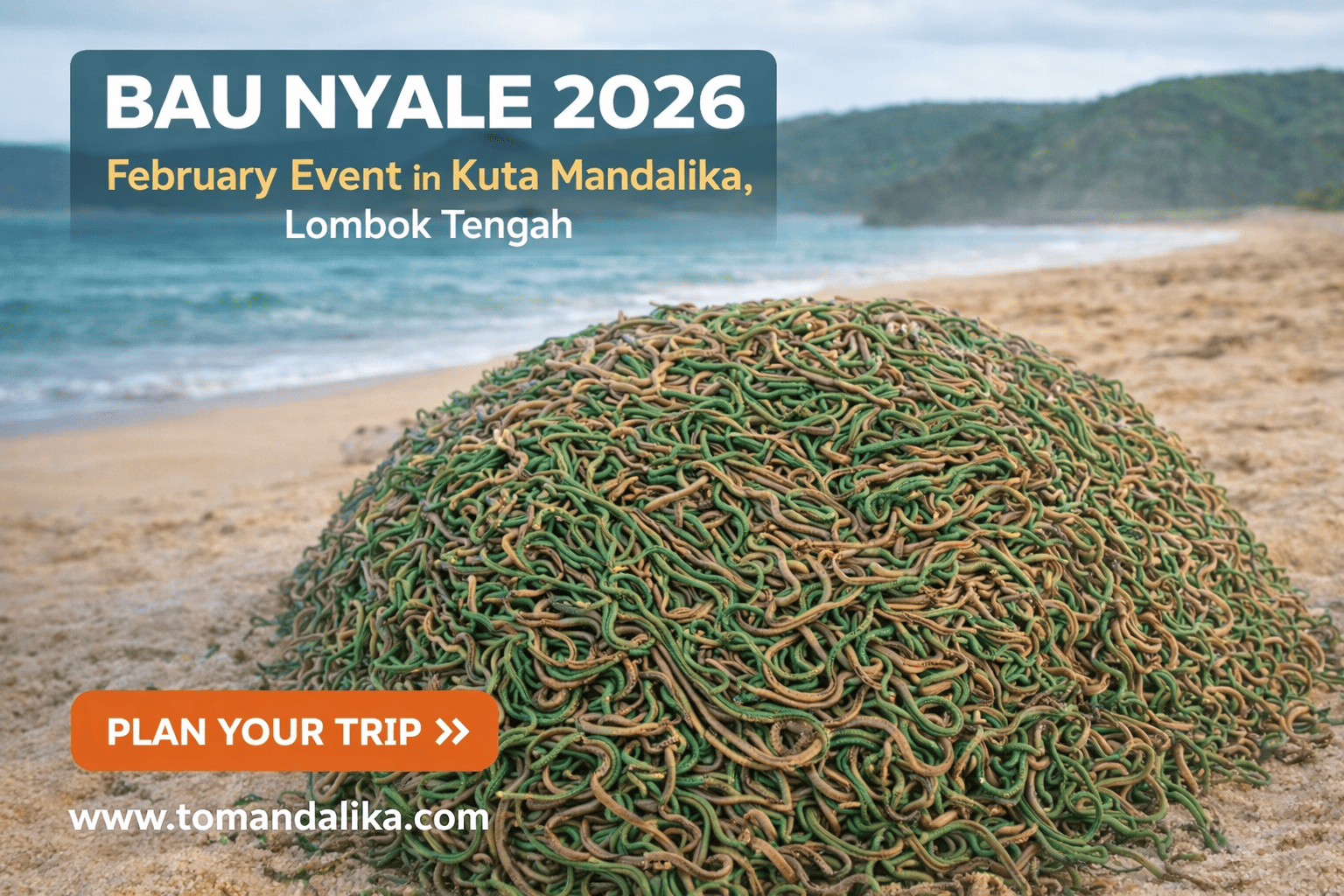 Bau Nyale 2026 in Kuta Mandalika: A Must-See Lombok Cultural Event This February