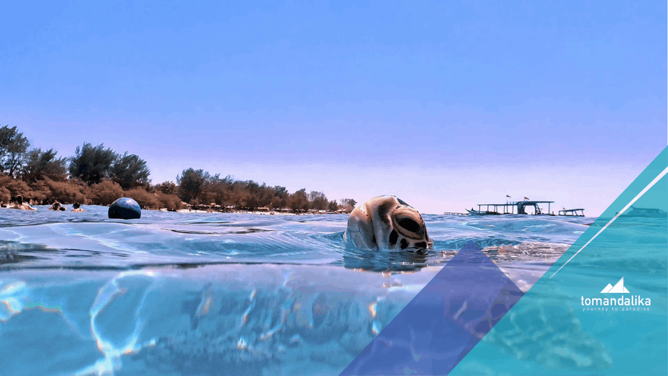 Tour to Gili Trawangan